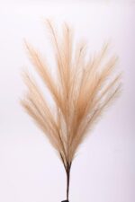 Κλαδί Pampas Grass 100cm