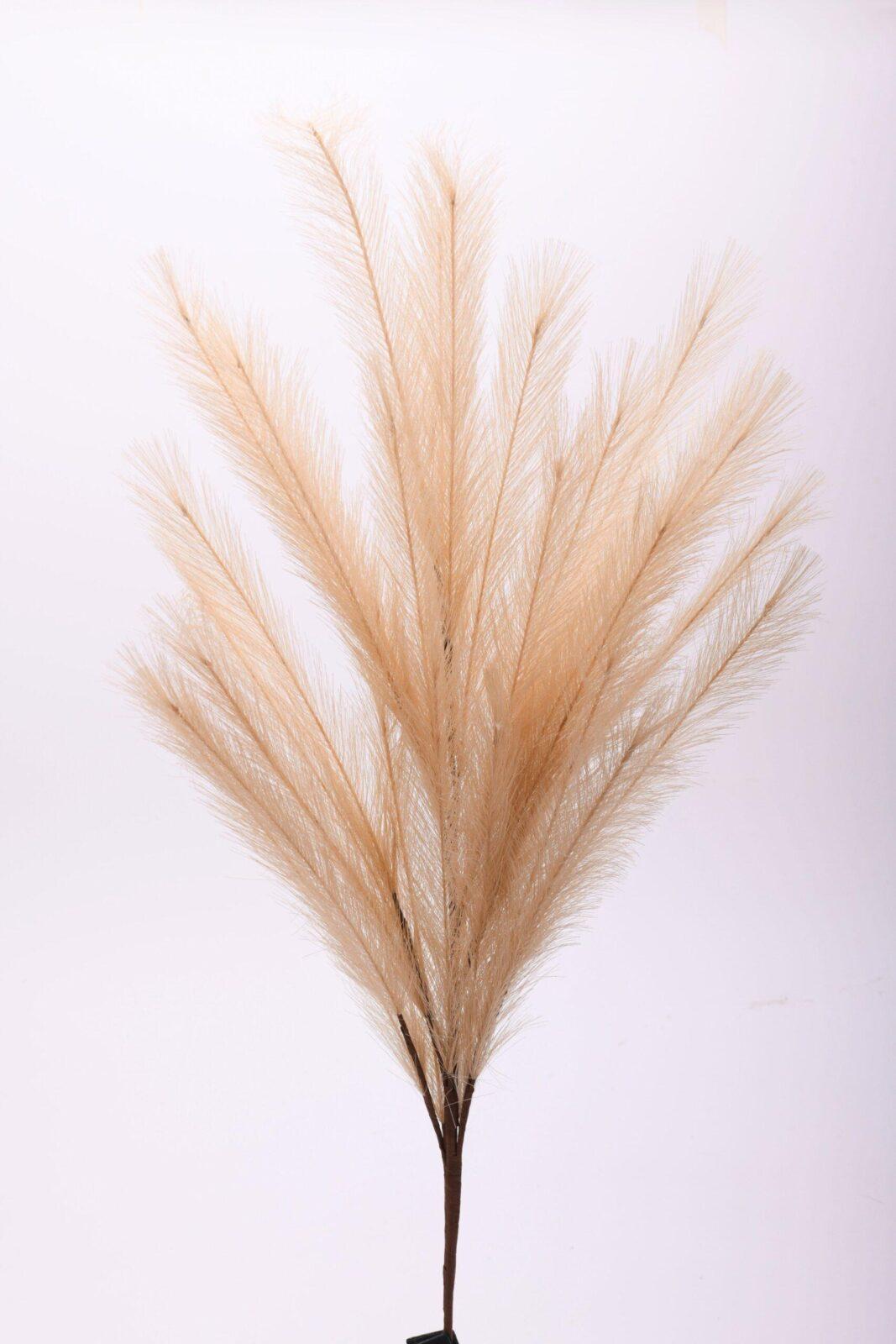 Κλαδί Pampas Grass 100cm Κλαδί Pampas Grass 100cm - Image 1
