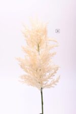 Κλαδί Pampas 70cm