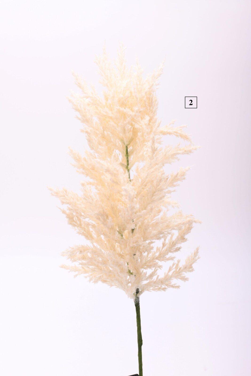Κλαδί Pampas 70cm