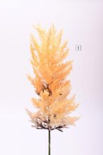 Κλαδί Pampas 70cm - Image 2