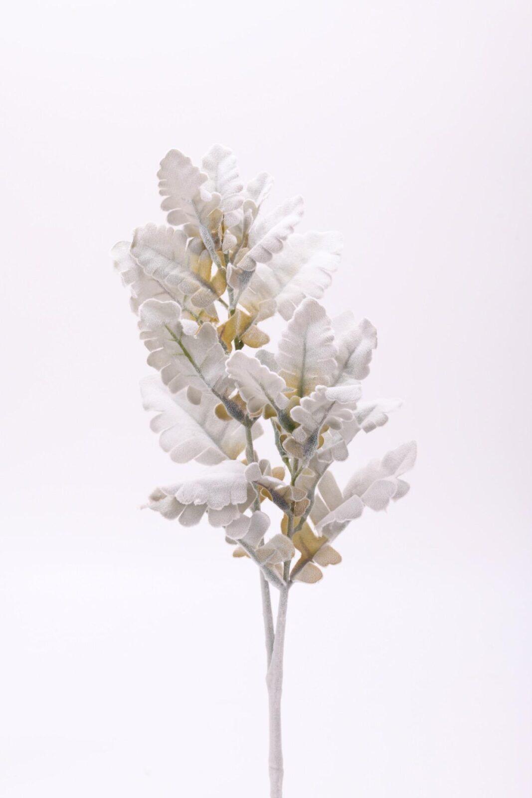 Κλαδί Σενέκιο 66cm