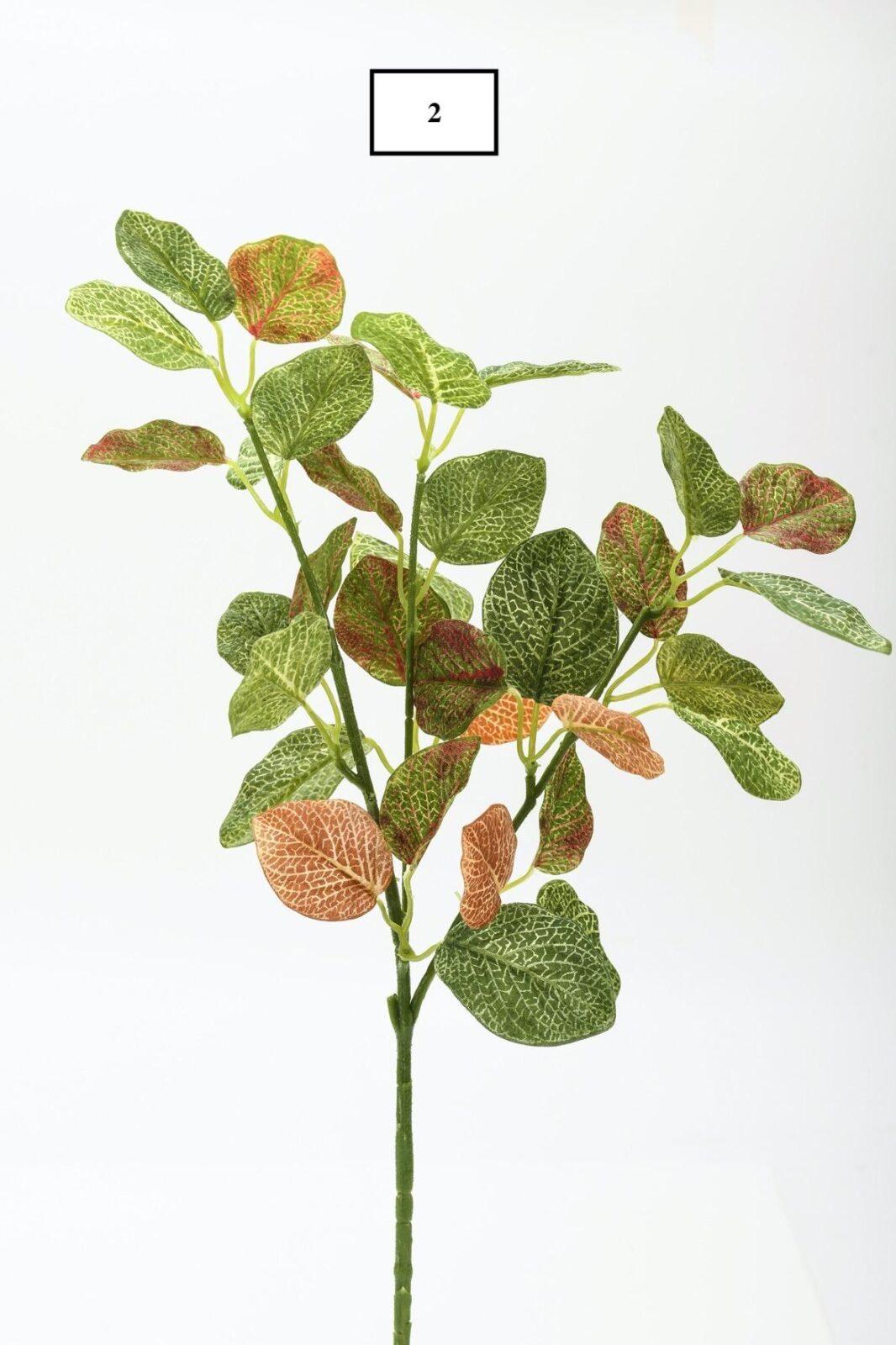 Κλαδί πρασιναδα 75CM